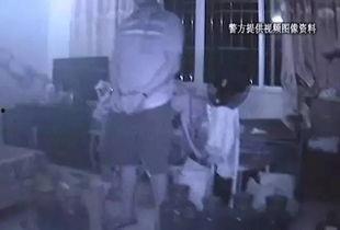 广东杀蛇视频,揭秘蛇类生存现状与人类冲突