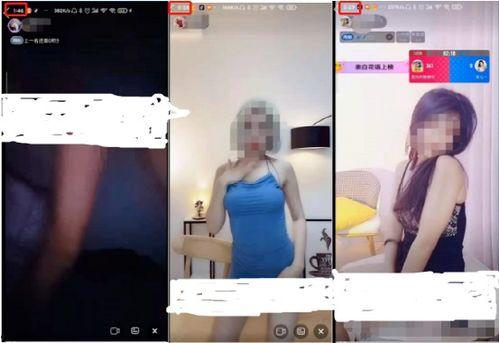 成人免费视频情
