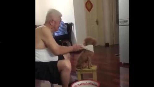 男孩洗澡的视频,男孩洗澡温馨瞬间