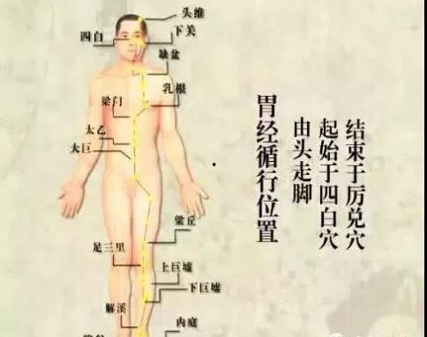 膀胱经自己敲打视频,轻松按摩，健康生活