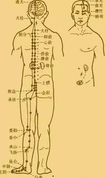 膀胱经自己敲打视频,轻松按摩,健康生活