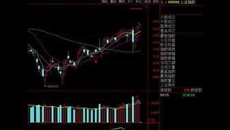 股市高手视频,视频深度解析