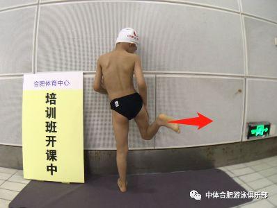 蛙泳腿部教学视频