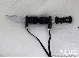 贞洁锁视频,揭秘古代女性束缚与自由的矛盾冲突
