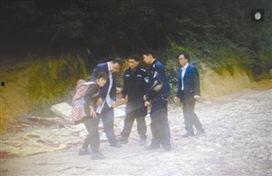 视频种植窝